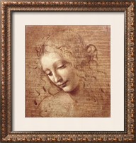 Da Vinci Framed Drawing